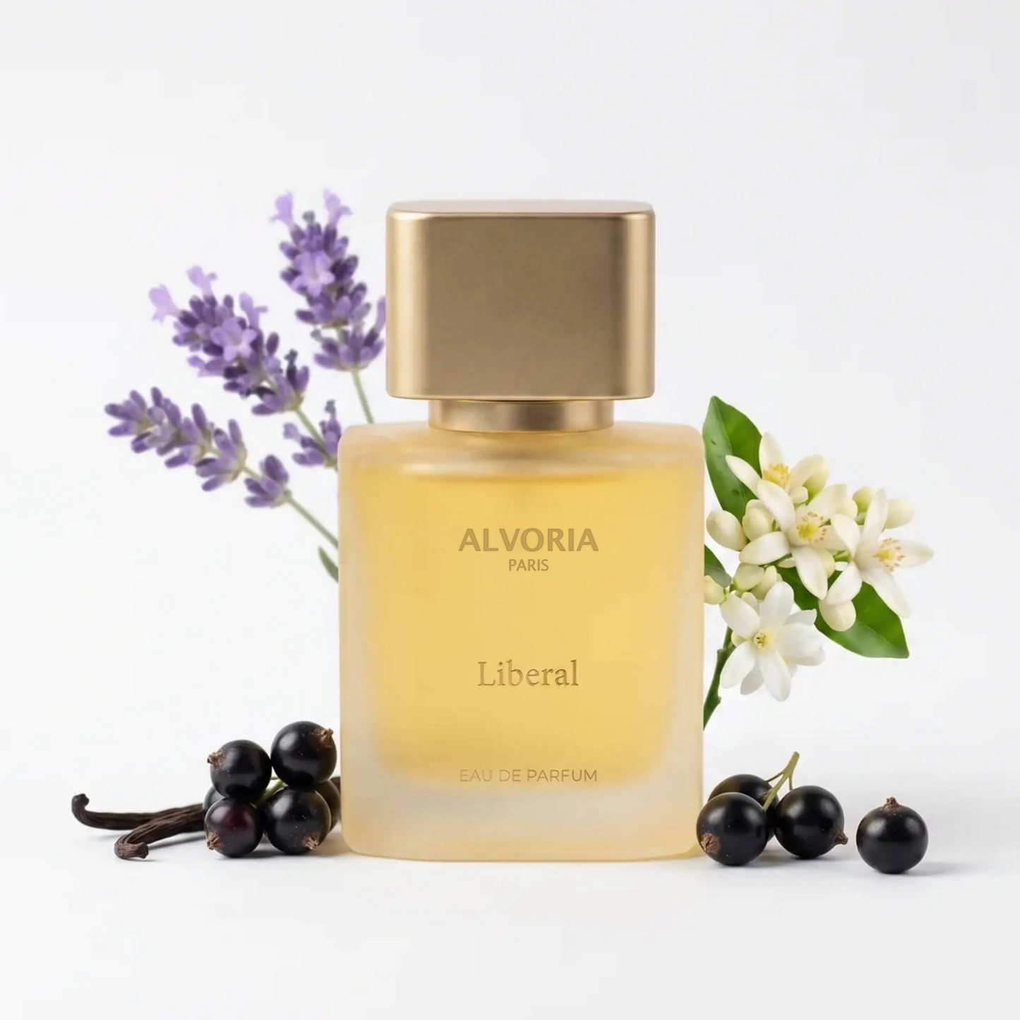 Alvoria Paris - Liberal